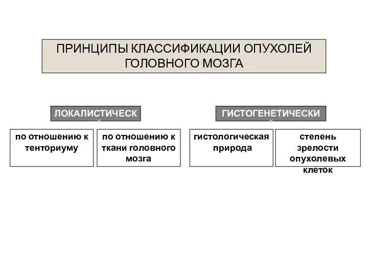 ПРИНЦИПЫ КЛАССИФИКАЦИИ ОПУХОЛЕЙ ГОЛОВНОГО МОЗГА ЛОКАЛИСТИЧЕСКИЙ ГИСТОГЕНЕТИЧЕСКИЙ гистологическая природа степень