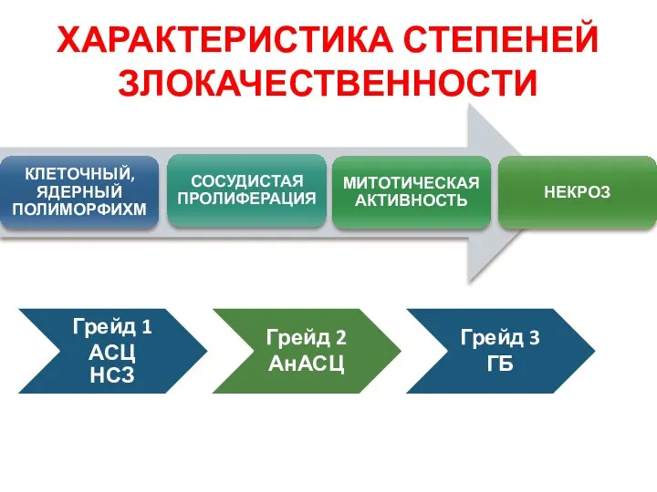 ХАРАКТЕРИСТИКА СТЕПЕНЕЙ ЗЛОКАЧЕСТВЕННОСТИ Грейд 1 АСЦ НСЗ Грейд 2 АнАСЦ Грейд 3 ГБ