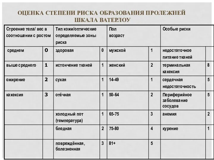 ОЦЕНКА СТЕПЕНИ РИСКА ОБРАЗОВАНИЯ ПРОЛЕЖНЕЙ ШКАЛА ВАТЕРЛОУ