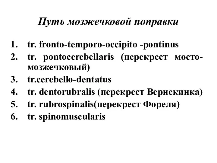 Путь мозжечковой поправки tr. fronto-temporo-occipito -pontinus tr. pontocerebellaris (перекрест мосто-мозжечковый) tr.cerebello-dentatus tr. dentorubralis