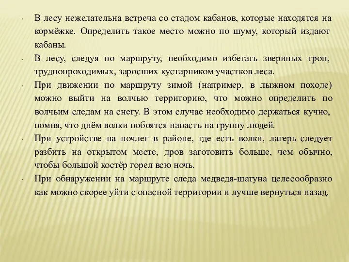 В лесу нежелательна встреча со стадом кабанов, которые находятся на