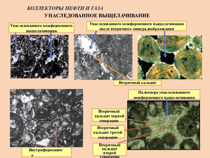 КОЛЛЕКТОРЫ НЕФТИ И ГАЗА УНАСЛЕДОВАННОЕ ВЫЩЕЛАЧИВАНИЕ Унаследованного межформенного выщелачивания Палеопора