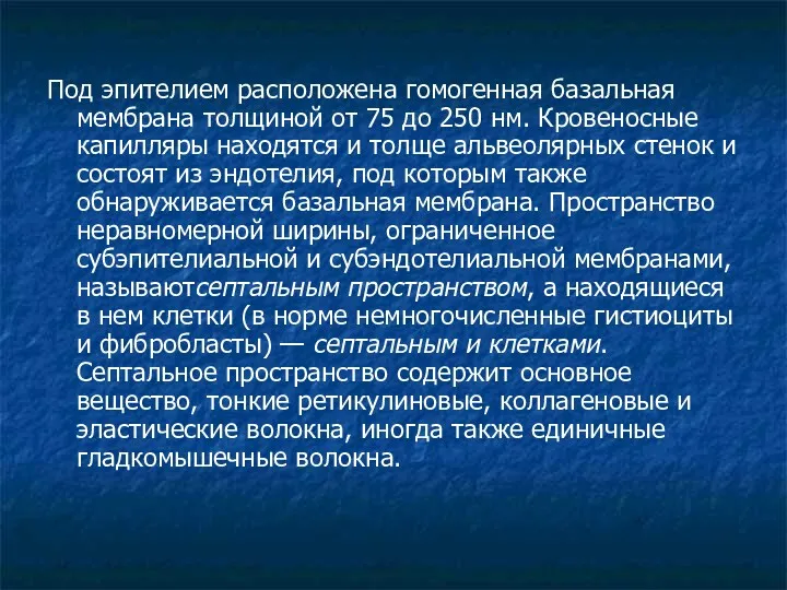 Под эпителием расположена гомогенная базальная мембрана толщиной от 75 до