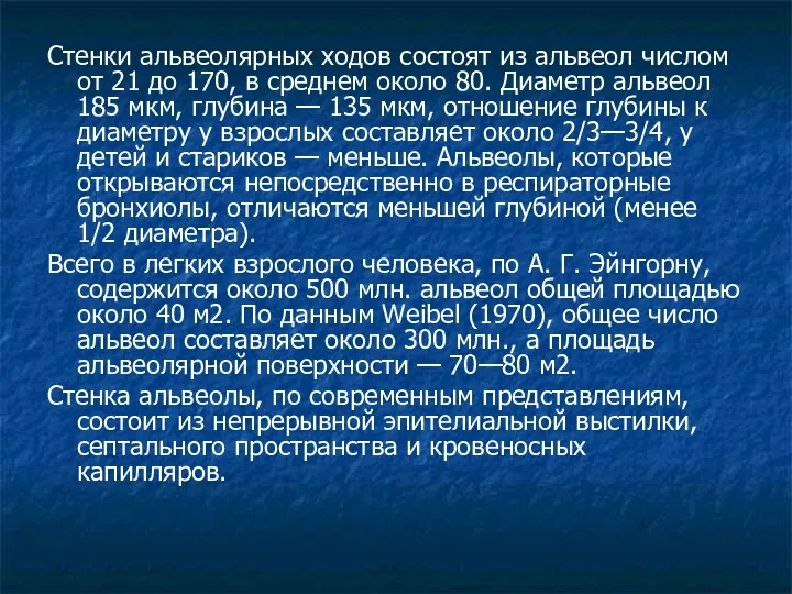 Стенки альвеолярных ходов состоят из альвеол числом от 21 до