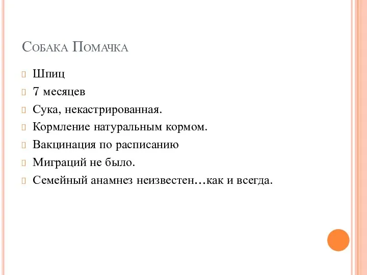 Собака Помачка Шпиц 7 месяцев Сука, некастрированная. Кормление натуральным кормом.