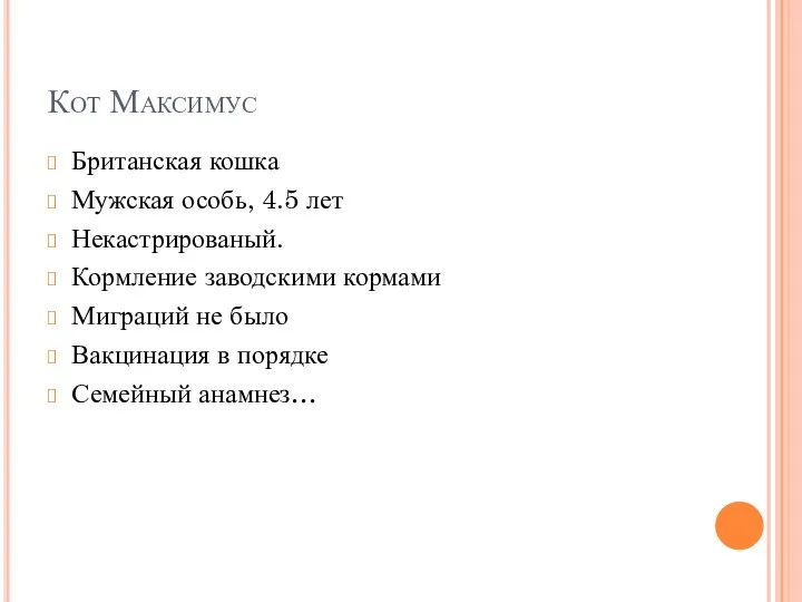 Кот Максимус Британская кошка Мужская особь, 4.5 лет Некастрированый. Кормление