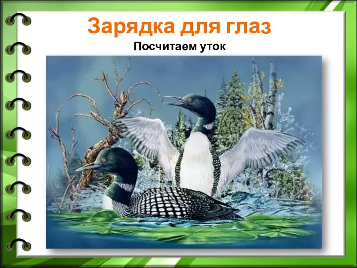 Зарядка для глаз Посчитаем уток Сколько уточек Вы увидели?