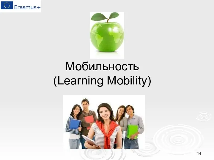 Мобильность (Learning Mobility)