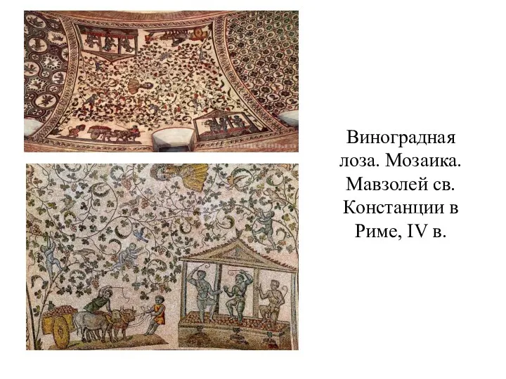 Виноградная лоза. Мозаика. Мавзолей св. Констанции в Риме, IV в.
