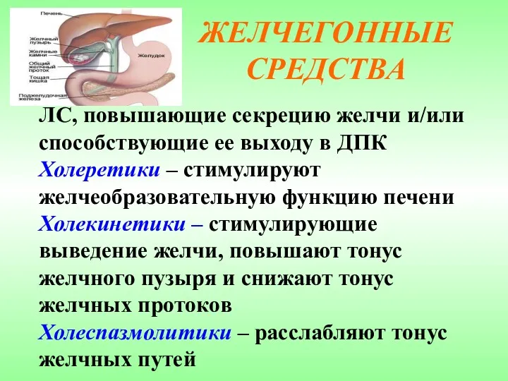 ЖЕЛЧЕГОННЫЕ СРЕДСТВА ЛС, повышающие секрецию желчи и/или способствующие ее выходу