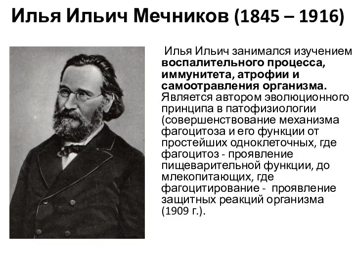 Илья Ильич Мечников (1845 – 1916) Илья Ильич занимался изучением
