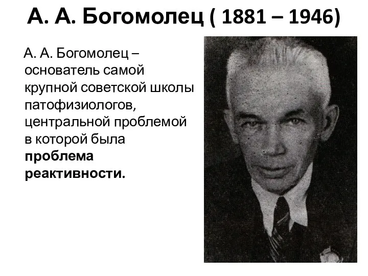 А. А. Богомолец ( 1881 – 1946) А. А. Богомолец