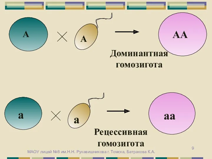 МАОУ лицей №8 им.Н.Н. Рукавишникова г. Томска, Батракова К.А.