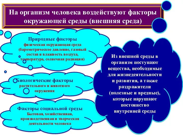 На организм человека воздействуют факторы окружающей среды (внешняя среда) Природные