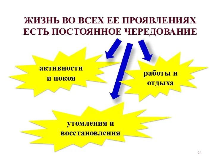 ЖИЗНЬ ВО ВСЕХ ЕЕ ПРОЯВЛЕНИЯХ ЕСТЬ ПОСТОЯННОЕ ЧЕРЕДОВАНИЕ активности и