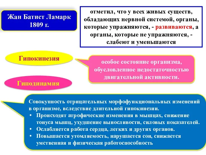 Гипокинезия особое состояние организма, обусловленное недостаточностью двигательной активности. отметил, что