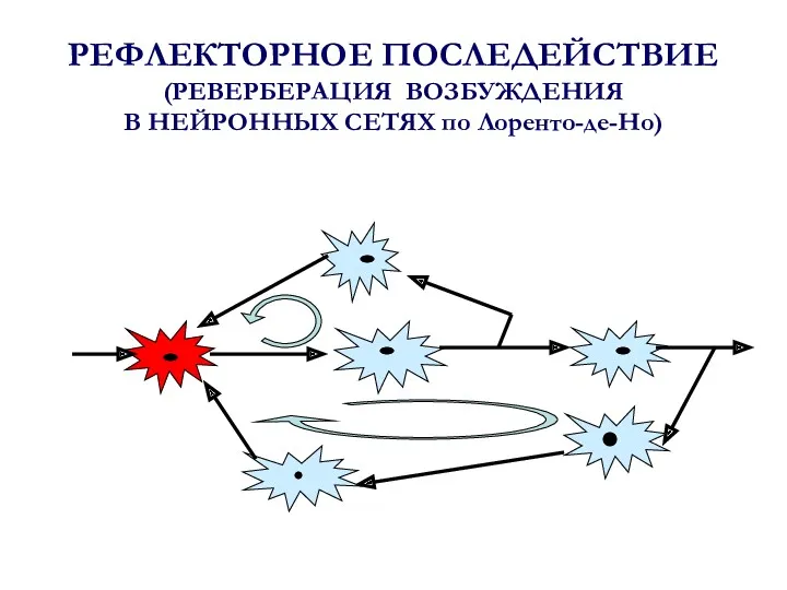 РЕФЛЕКТОРНОЕ ПОСЛЕДЕЙСТВИЕ (РЕВЕРБЕРАЦИЯ ВОЗБУЖДЕНИЯ В НЕЙРОННЫХ СЕТЯХ по Лоренто-де-Но)