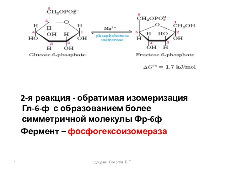* доцент Свергун В.Т. 2-я реакция - обратимая изомеризация Гл-6-ф