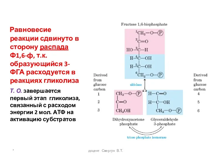 * доцент Свергун В.Т. Равновесие реакции сдвинуто в сторону распада