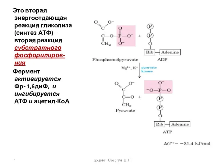 * доцент Свергун В.Т. Это вторая энергоотдающая реакция гликолиза (синтез