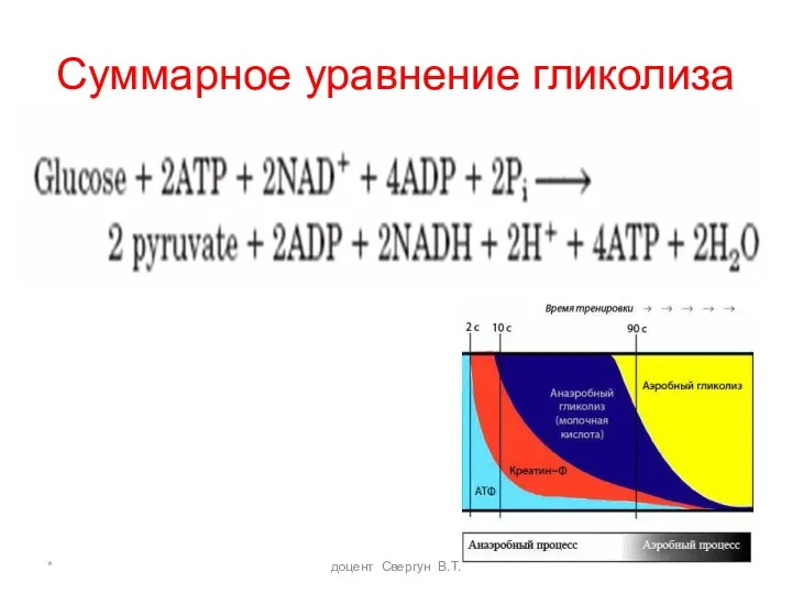 * доцент Свергун В.Т. Суммарное уравнение гликолиза