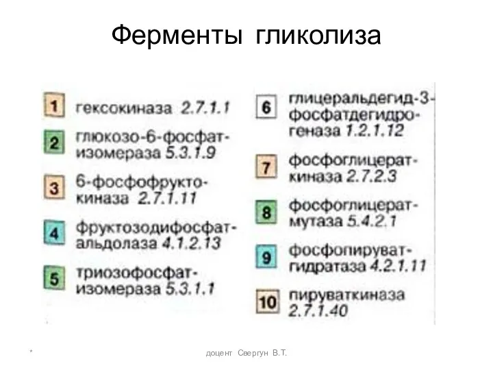 * доцент Свергун В.Т. Ферменты гликолиза