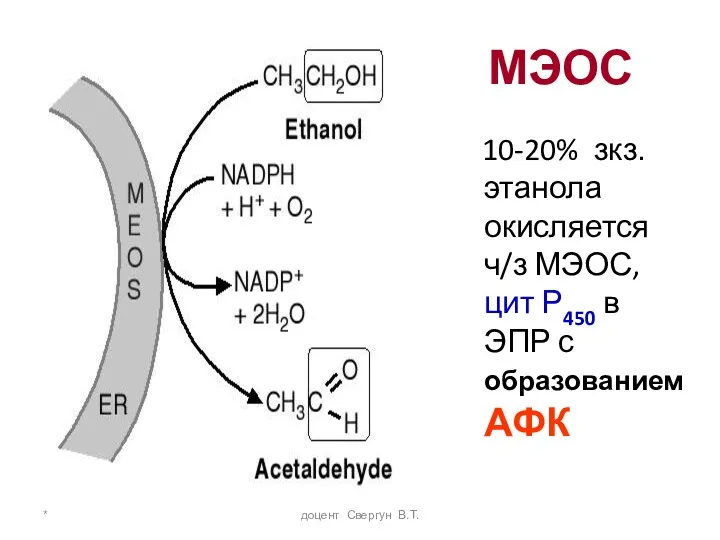 * доцент Свергун В.Т. МЭОС 10-20% зкз. этанола окисляется ч/з