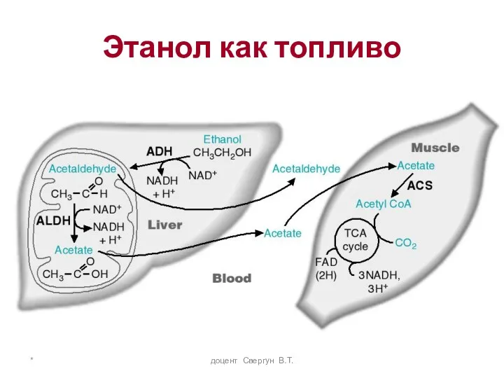 * доцент Свергун В.Т. Этанол как топливо