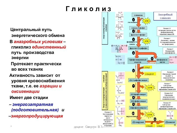 * доцент Свергун В.Т. Г л и к о л