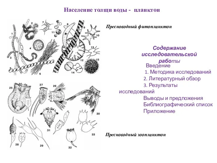 Содержание исследовательской работы Введение 1. Методика исследований 2. Литературный обзор