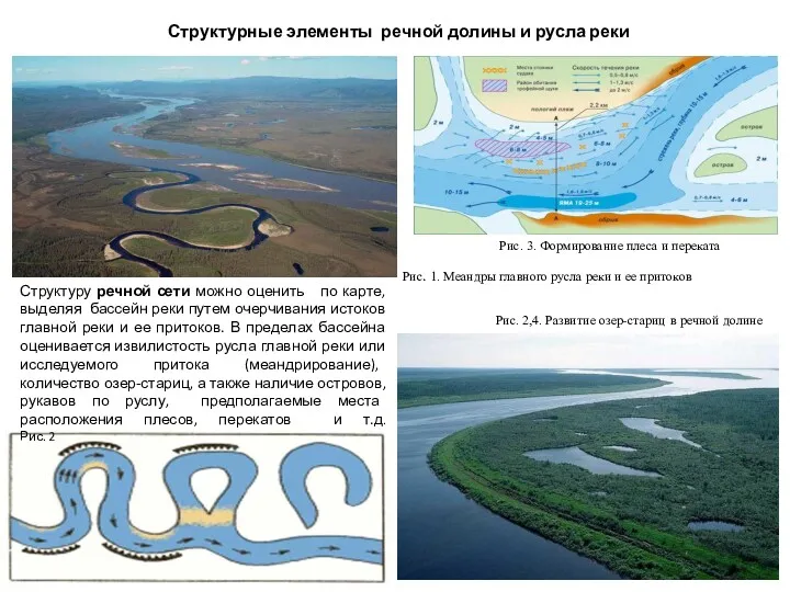 Структурные элементы речной долины и русла реки Структуру речной сети