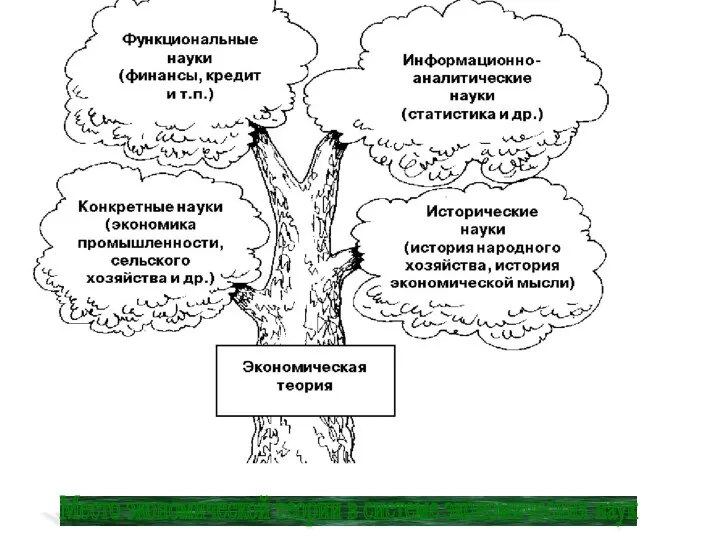 Место экономической теории в системе экономических наук