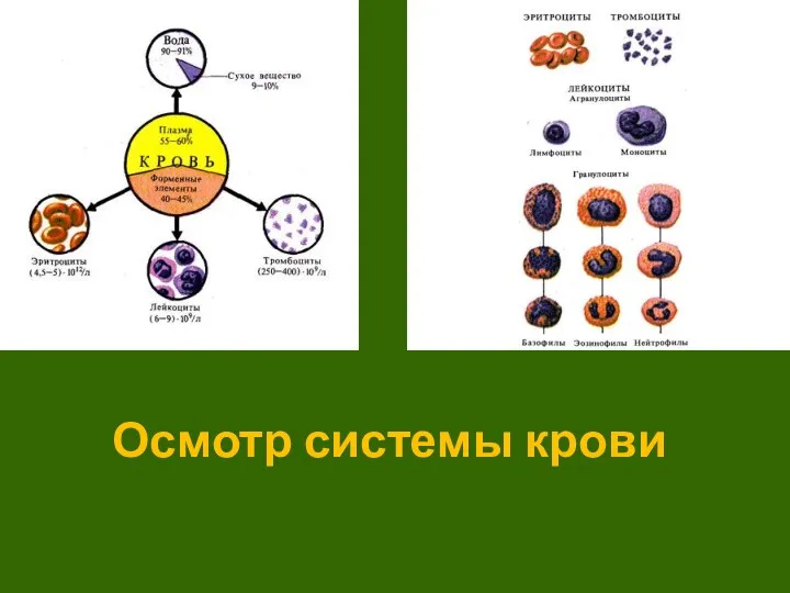 Осмотр системы крови