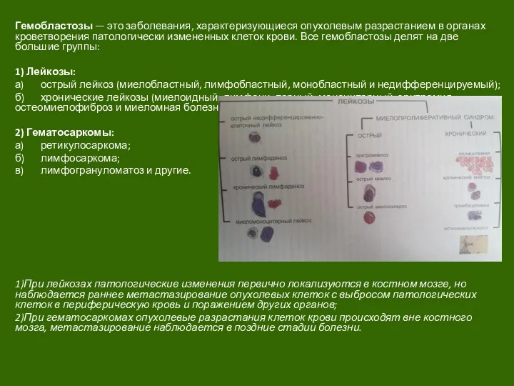 Гемобластозы — это заболевания, характеризующиеся опухолевым разрастанием в органах кроветворения