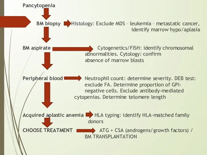 Pancytopenia BM biopsy Histology: Exclude MDS – leukemia – metastatic