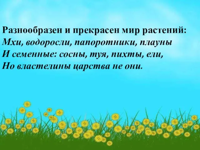 Разнообразен и прекрасен мир растений: Мхи, водоросли, папоротники, плауны И