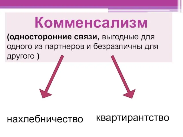 Комменсализм (односторонние связи, выгодные для одного из партнеров и безразличны для другого ) нахлебничество квартирантство