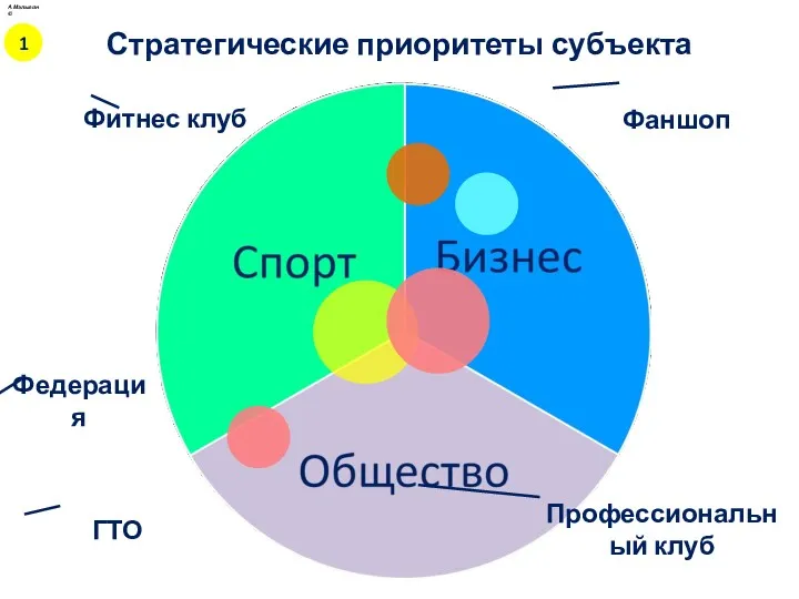 Стратегические приоритеты субъекта Фаншоп Федерация Профессиональный клуб Фитнес клуб ГТО А.Малыгин © 1