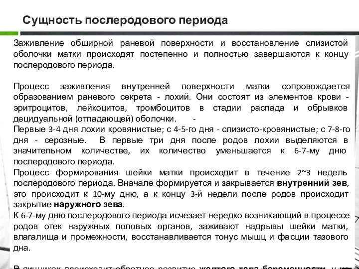 Сущность послеродового периода Заживление обширной раневой поверхности и восстановление слизистой