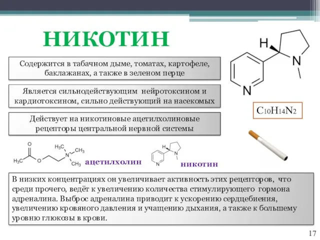 НИКОТИН В низких концентрациях он увеличивает активность этих рецепторов, что