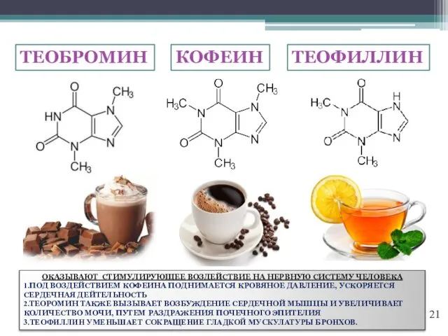 КОФЕИН ТЕОФИЛЛИН ТЕОБРОМИН ОКАЗЫВАЮТ СТИМУЛИРУЮЩЕЕ ВОЗДЕЙСТВИЕ НА НЕРВНУЮ СИСТЕМУ ЧЕЛОВЕКА