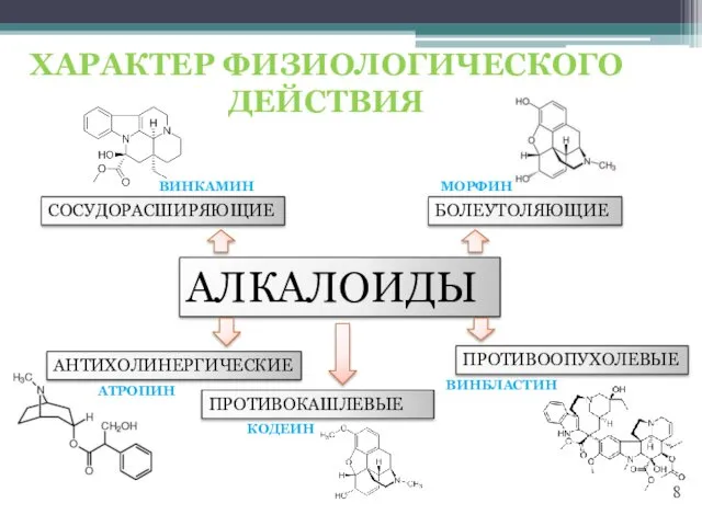 ХАРАКТЕР ФИЗИОЛОГИЧЕСКОГО ДЕЙСТВИЯ АЛКАЛОИДЫ СОСУДОРАСШИРЯЮЩИЕ ПРОТИВОКАШЛЕВЫЕ АНТИХОЛИНЕРГИЧЕСКИЕ БОЛЕУТОЛЯЮЩИЕ ВИНКАМИН МОРФИН ПРОТИВООПУХОЛЕВЫЕ ВИНБЛАСТИН АТРОПИН КОДЕИН 8