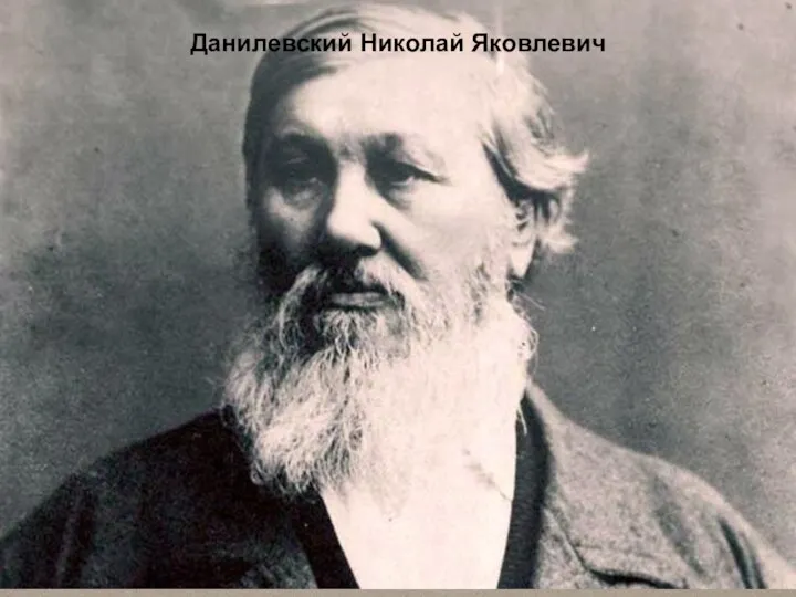 Данилевский Николай Яковлевич