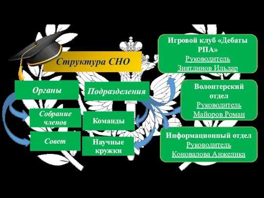 Информационный отдел Руководитель Коновалова Анжелика Структура СНО Органы Подразделения Собрание