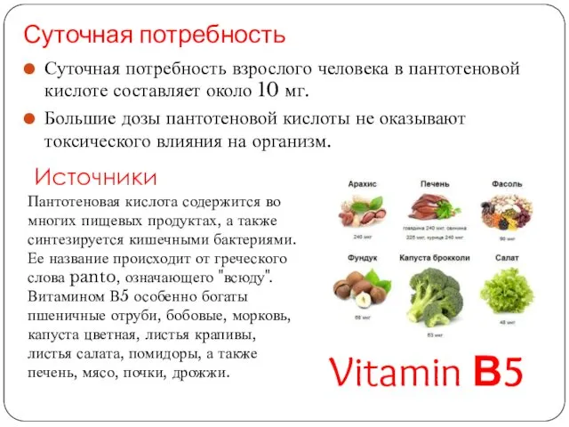 Суточная потребность Суточная потребность взрослого человека в пантотеновой кислоте составляет