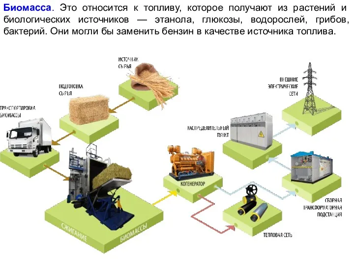 Биомасса. Это относится к топливу, которое получают из растений и