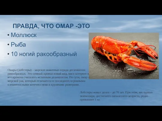 ПРАВДА, ЧТО ОМАР -ЭТО Моллюск Рыба 10 ногий ракообразный Омары (лобстеры) – морские