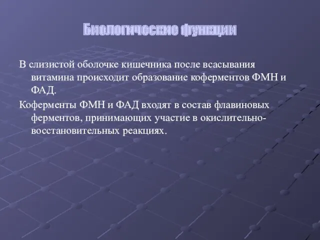 Биологические функции В слизистой оболочке кишечника после всасывания витамина происходит