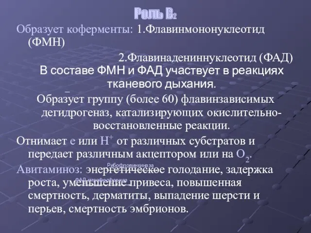 Роль В2 Образует коферменты: 1.Флавинмононуклеотид (ФМН) 2.Флавинадениннуклеотид (ФАД) В составе