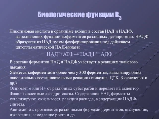 Биологические функции В3 Никотиновая кислота в организме входит в состав